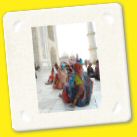 D16 Agra2 (98).jpg